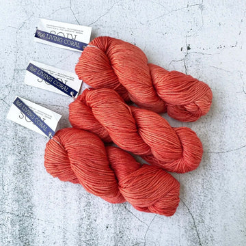 Malabrigo Rios Yarn - Kettle Dyed Merino Superwash - 100 grams - LIVING CORAL - Colour: 896